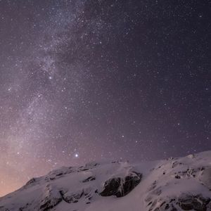 Meet your Posher, Leo